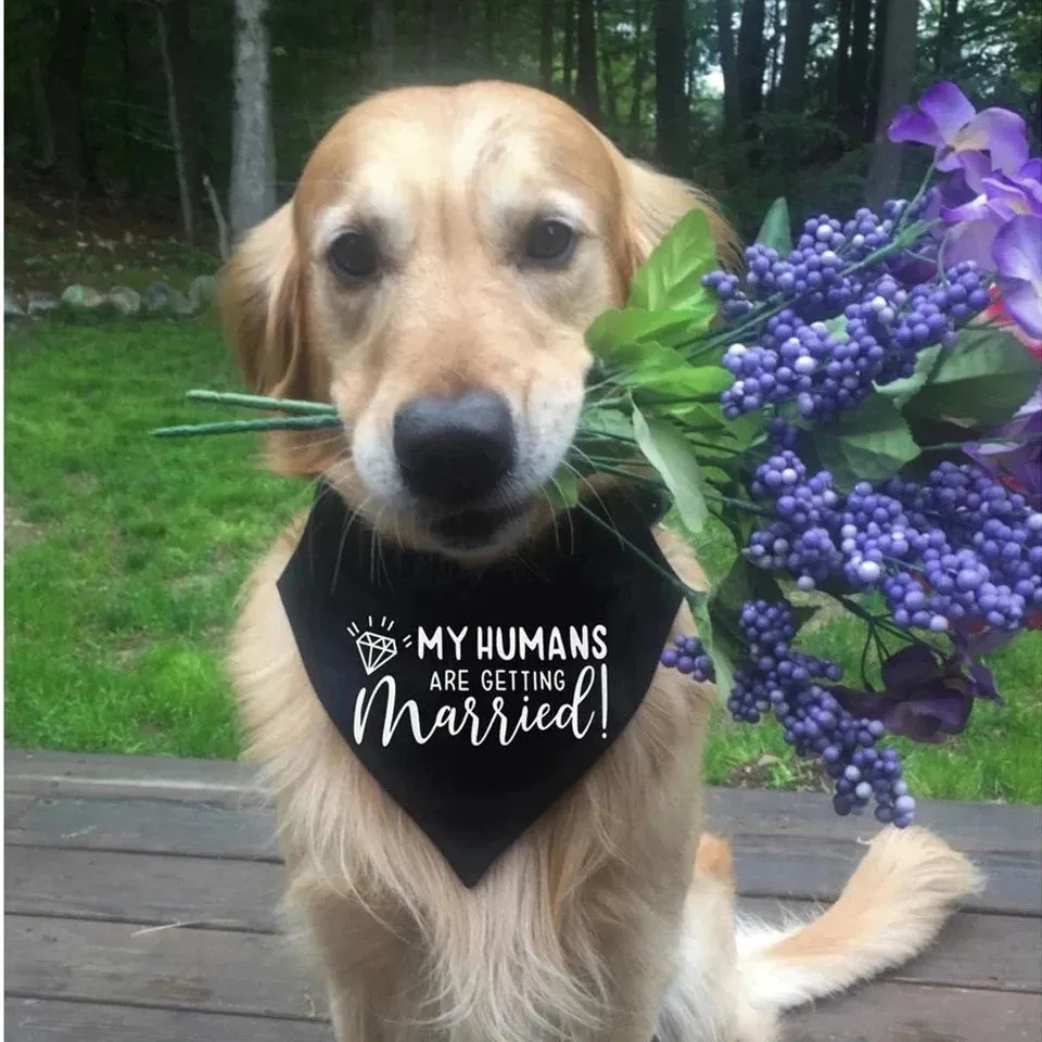 Dog Wedding Scarf Bandana Best Man Scarf for Dog, Dog Best Man Scarf, Best Man Dog Neck Scarf, Dog Wedding Scarf, Dog Ring Bearer