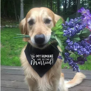 Dog Wedding Scarf Bandana Best Man Scarf for Dog, Dog Best Man Scarf, Best Man Dog Neck Scarf, Dog Wedding Scarf, Dog Ring Bearer