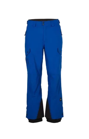 Oneill Mens Cargo Pant Surf the Web Blue