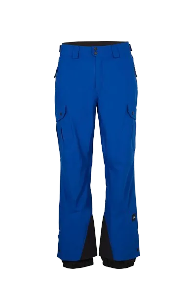 Oneill Mens Cargo Pant Surf the Web Blue