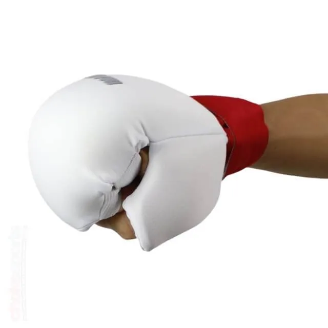 Reversible Karate Hand Guard