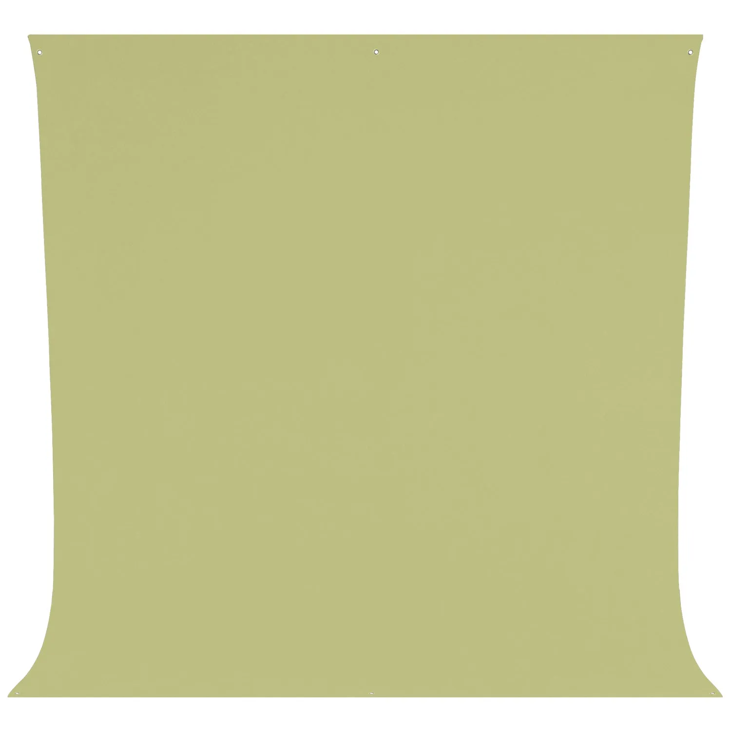 Wrinkle-Resistant Backdrop - Light Moss Green (9' x 10')